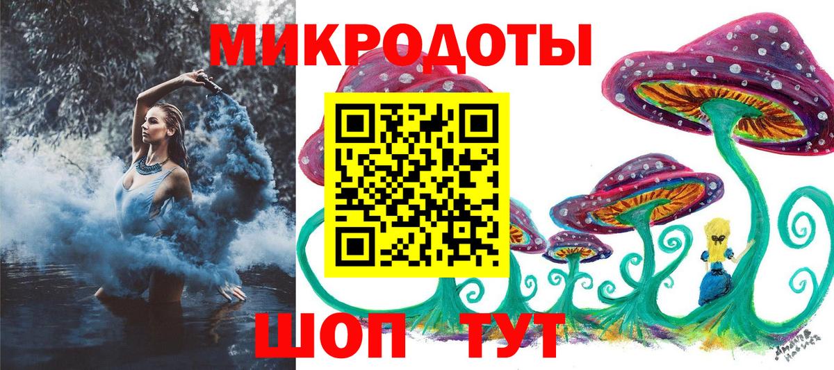 Псилоцибиновые грибы Psilocybe Рыбинск