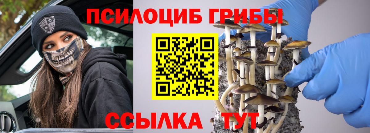 Галлюциногенные грибы Magic Shrooms  Вход с VPN  Псилоцибиновые грибы Magic Shrooms  Рыбинск 